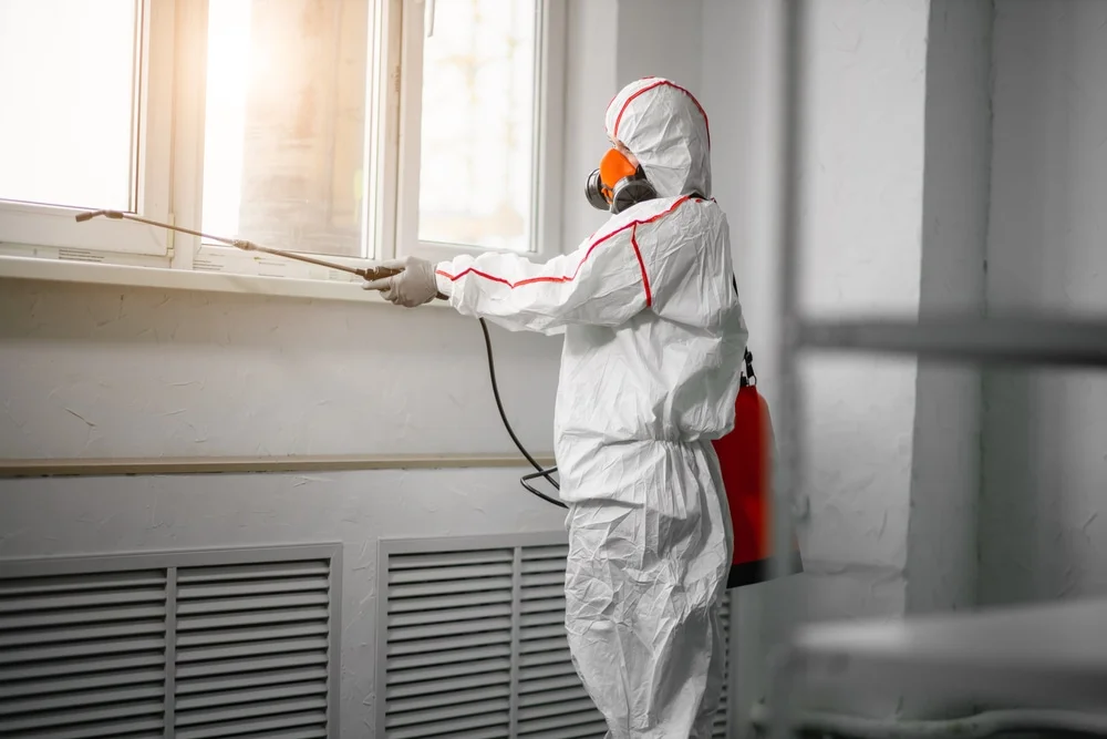 Professional mold remediation services in Riverside, IL